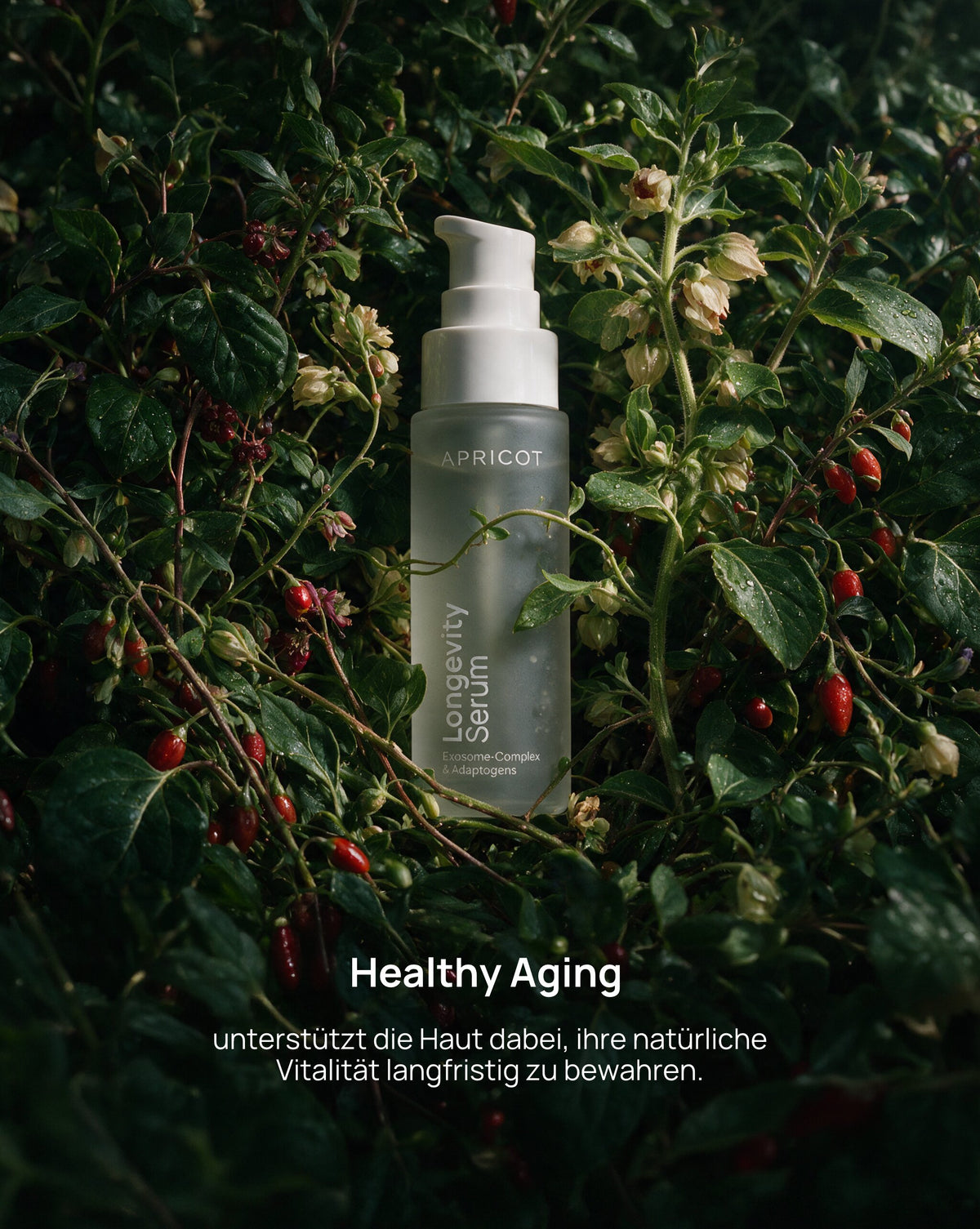 Exosome serum with goji exosomes and adaptogens – our longevity serum