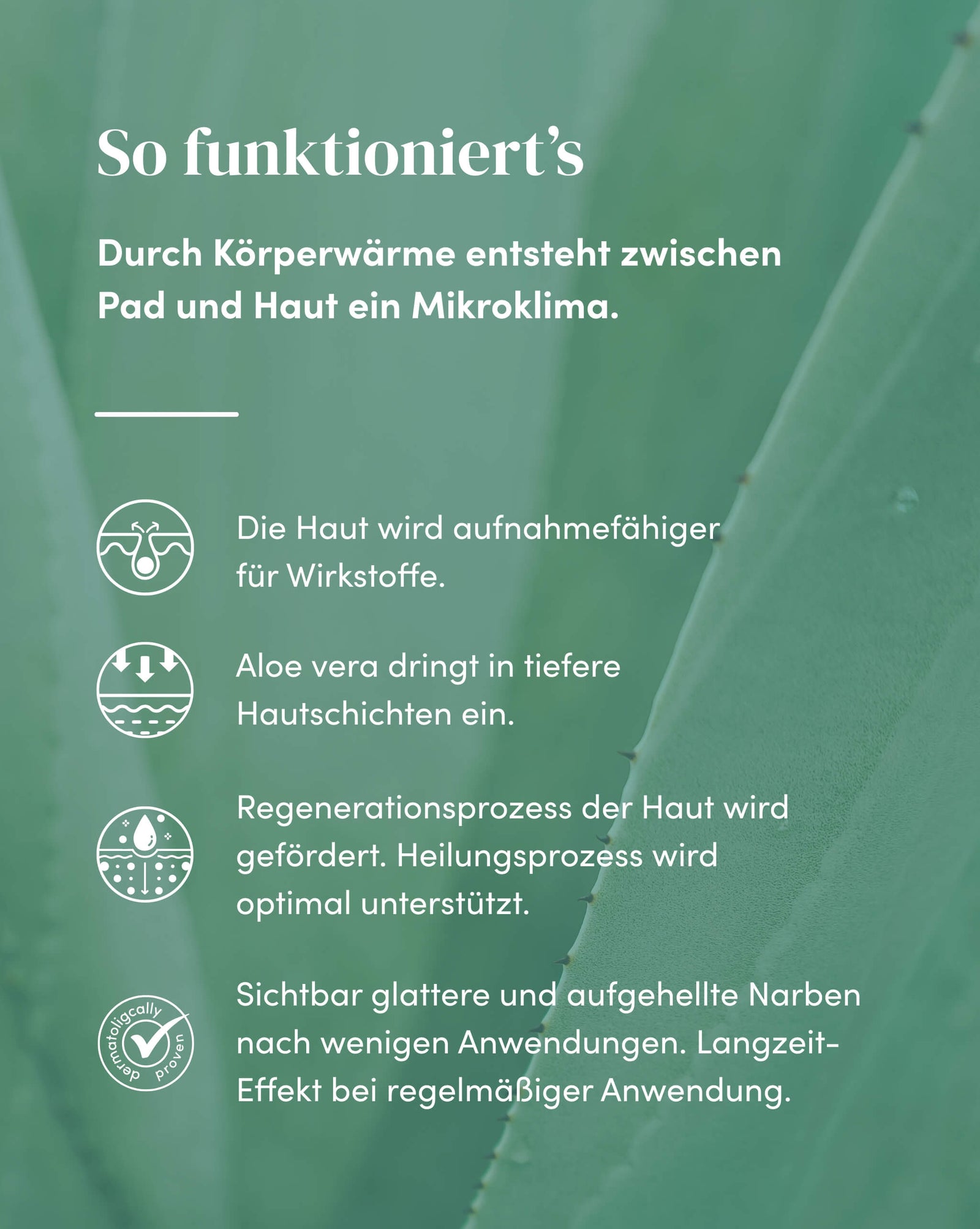 Mini Aloe vera Scar Pads