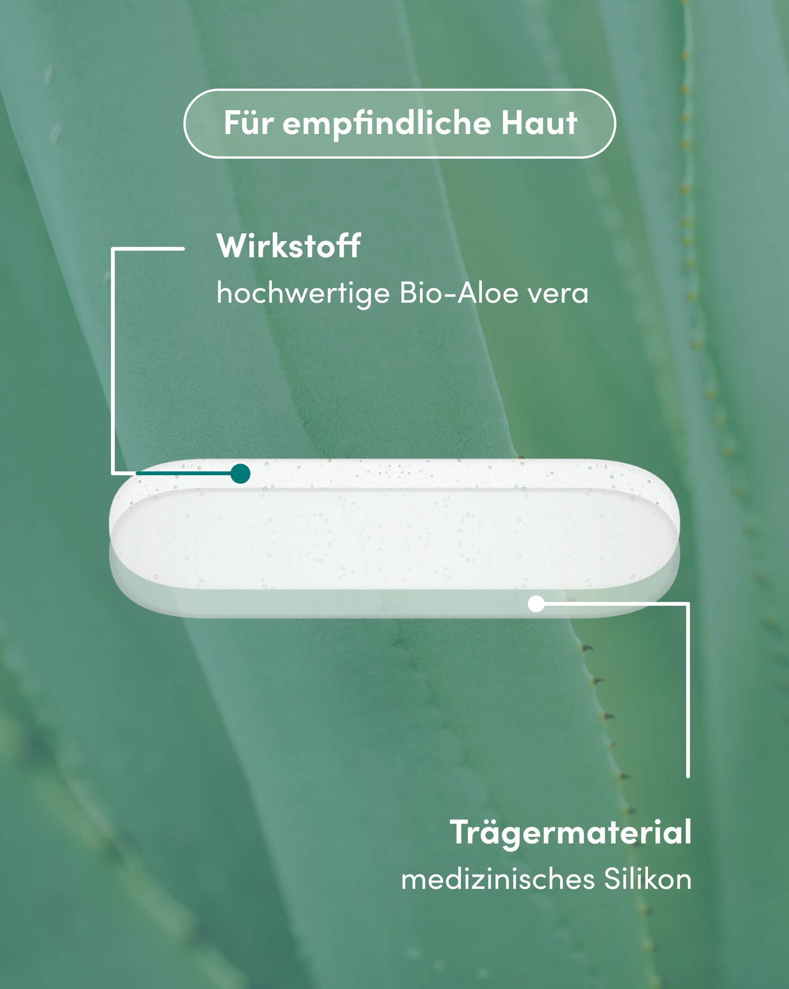 Aloe vera Scar Pads for Effective Healing