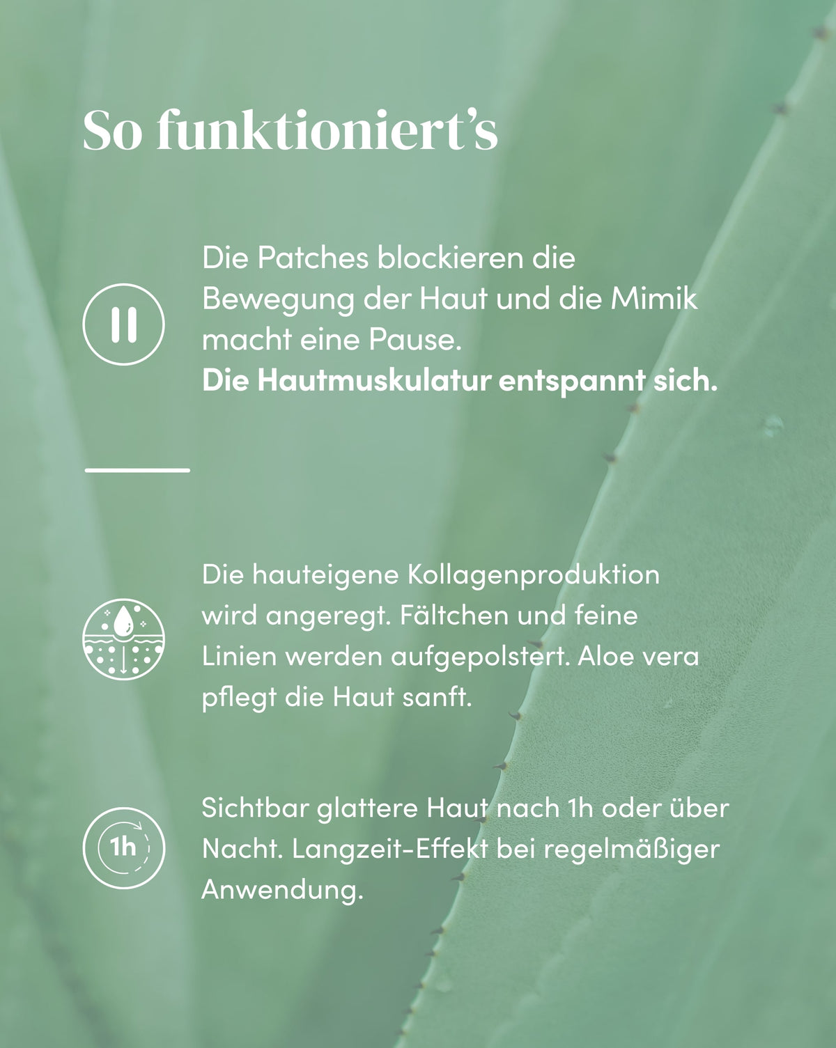 Wirkweise der Zornesfalten Patches mit Aloe vera für sichtbar glattere Haut